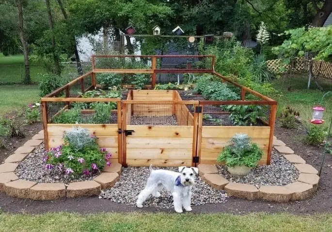 Flower bed fencing to keep dogs out