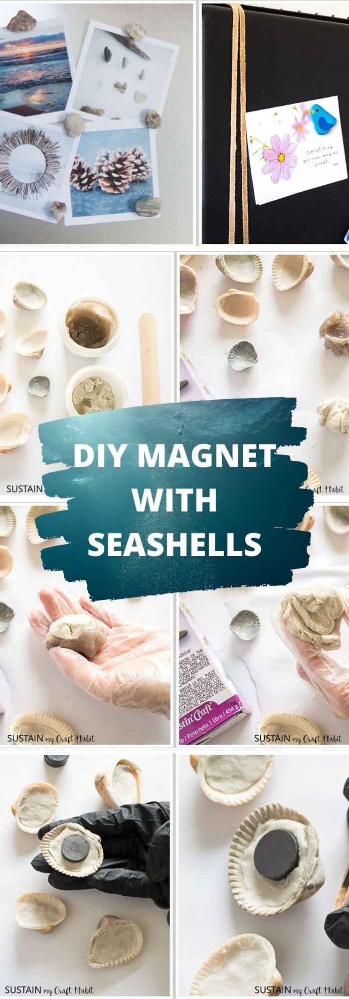 Attach Shell Magnets To Your Fridge