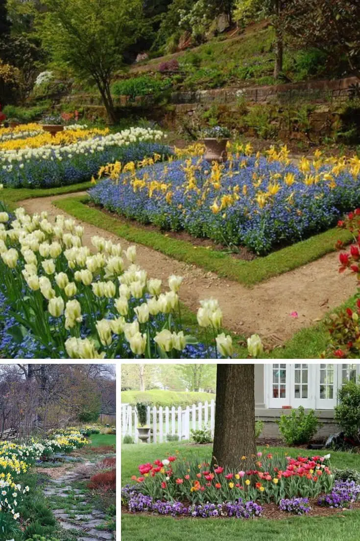 Garden Beds and Borders Among Perennials: Mid-spring (April and May)