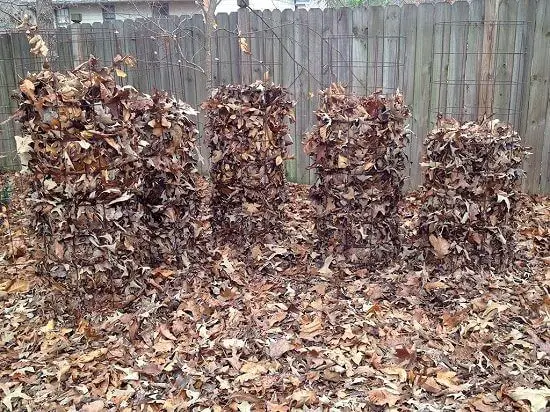 Using Tomato Cages in Cold Weather