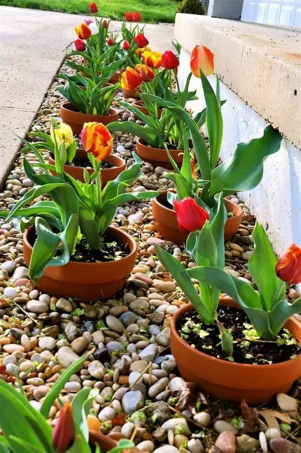 Clay pots on your flower beds