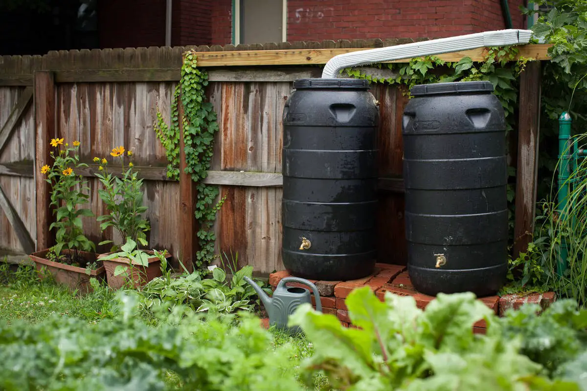 Rainwater Harvesting Systems