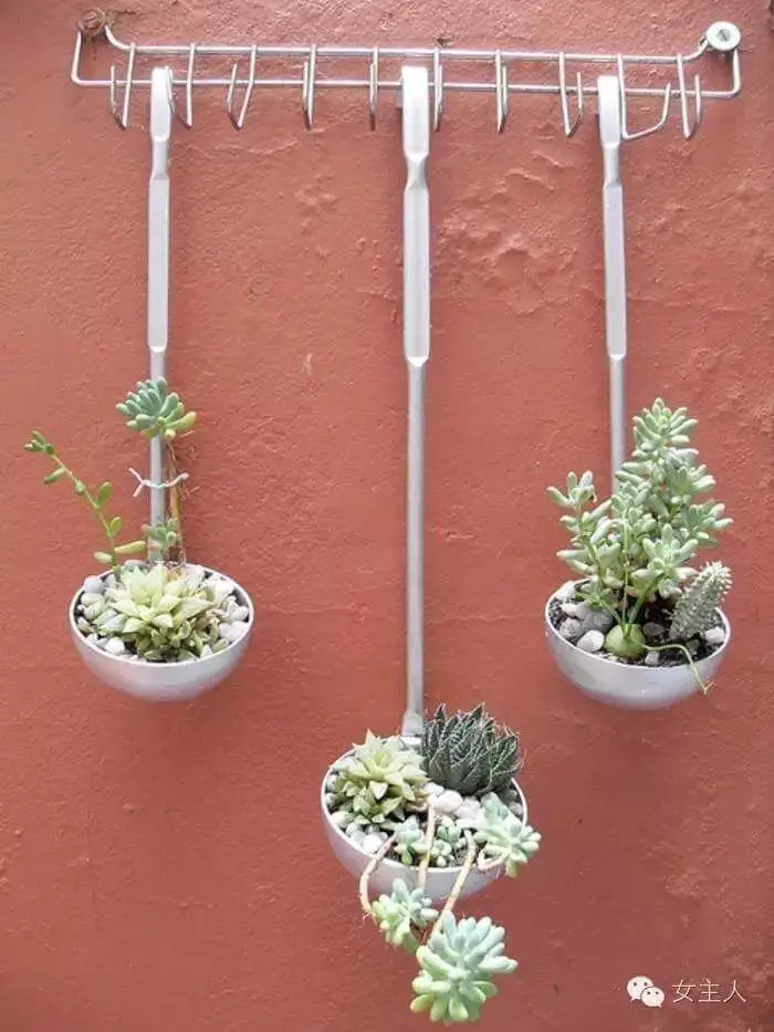 Incorporating Hanging Planters in Outdoor Events and Celebrations