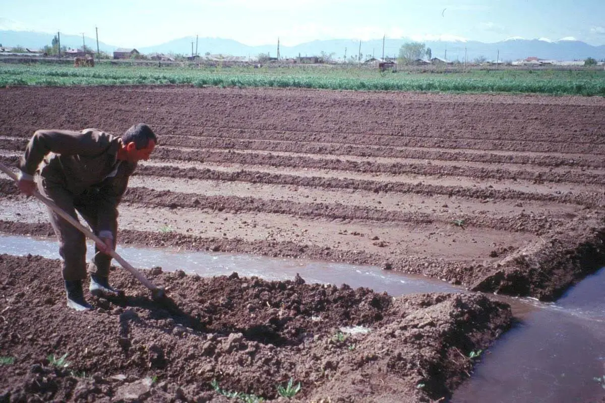 Furrow Irrigation