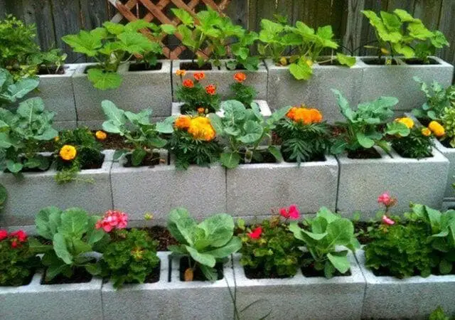 Cement block flower bed