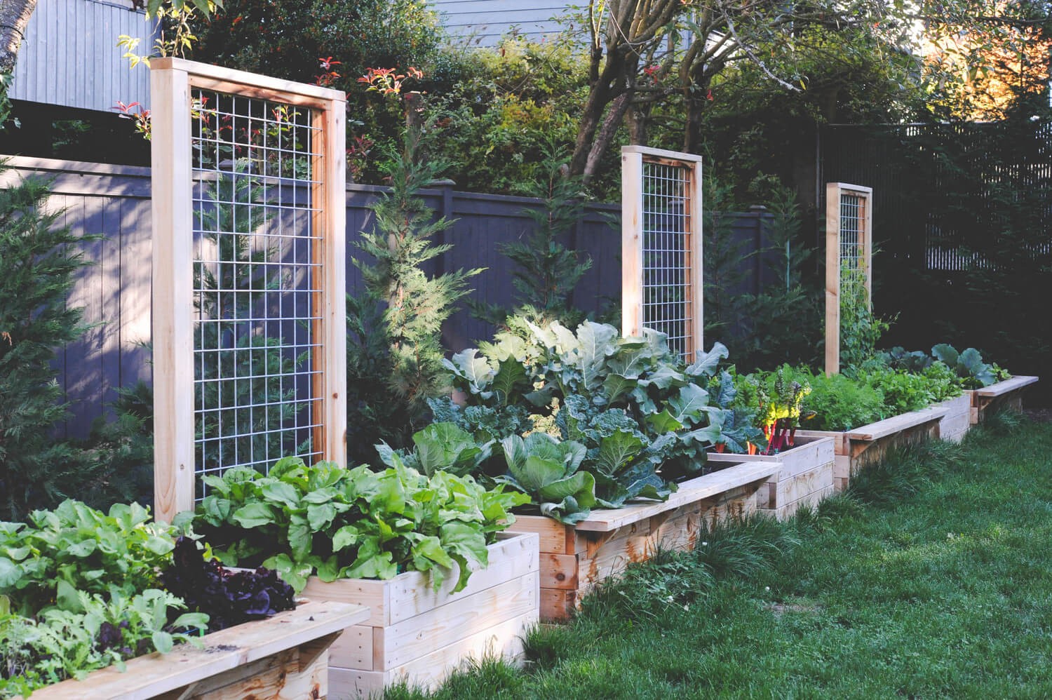 #3. Cedar Raised Beds with Permanent Trellising