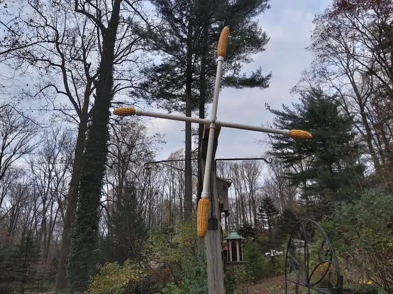 Windmill squirrel feeder