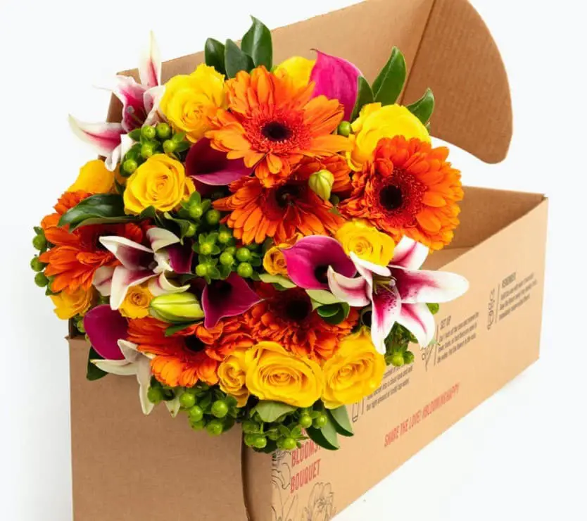 BloomsyBox’s Lovely bouquet.