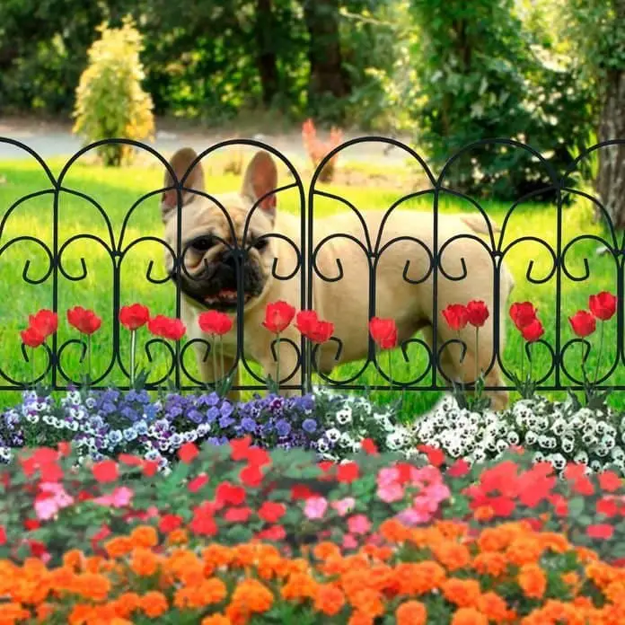 Flower bed fencing to keep dogs out