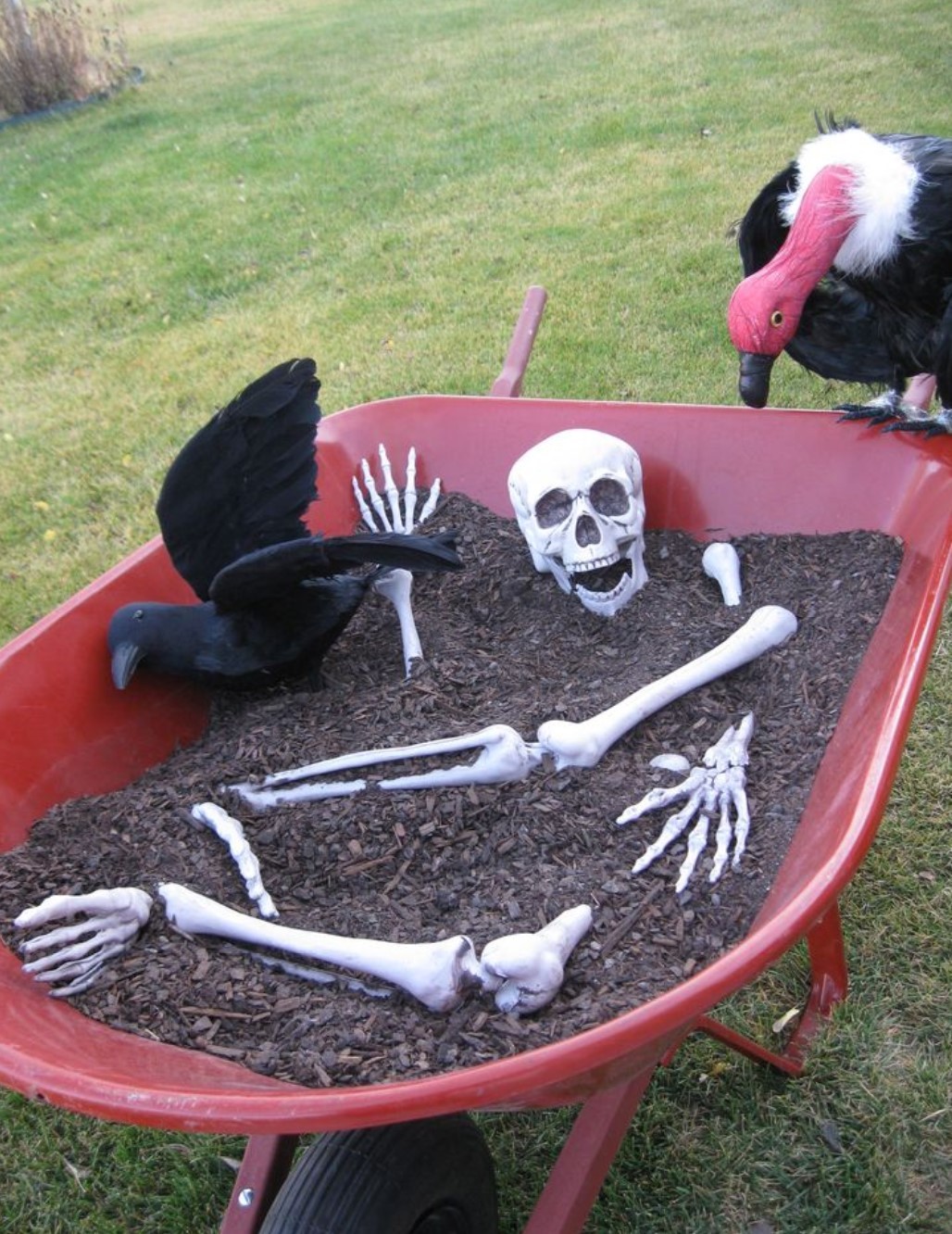 #24. Wheelbarrow of bones