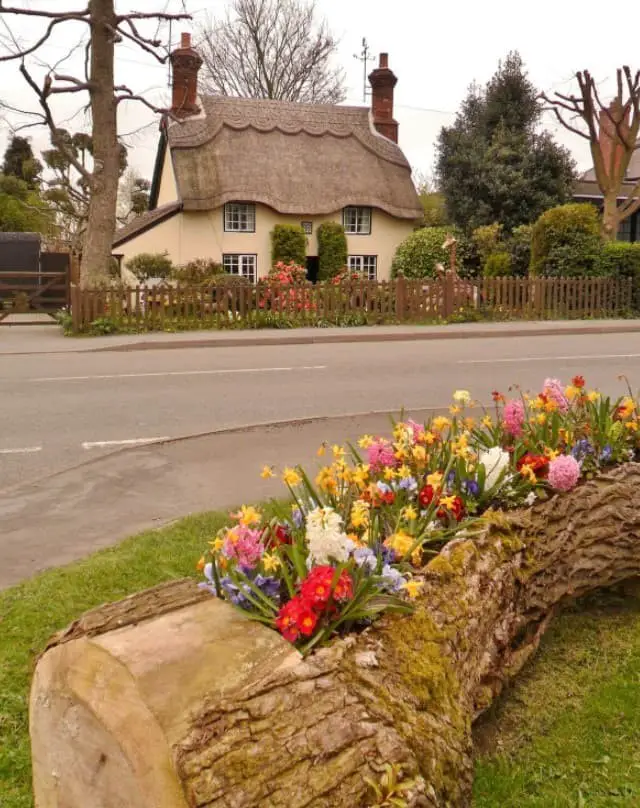 Log flower bed