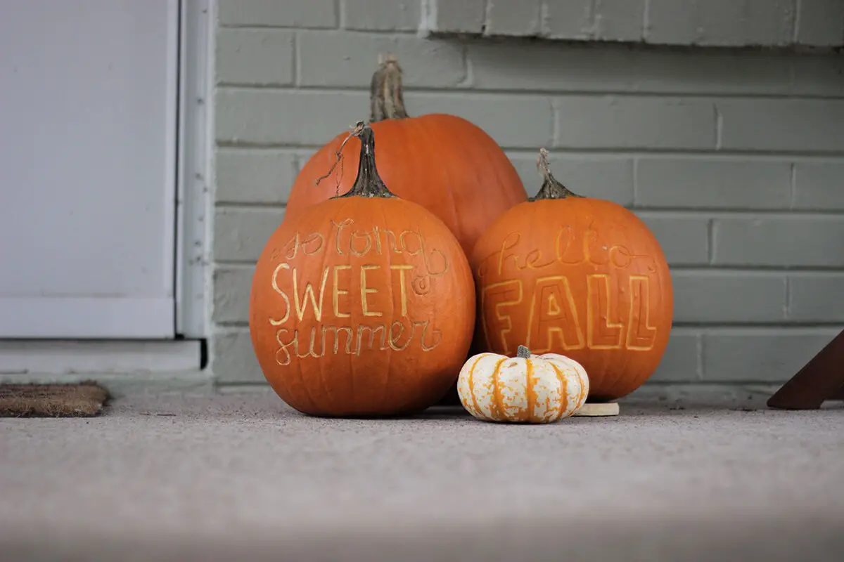 Big pumpkin carving ideas