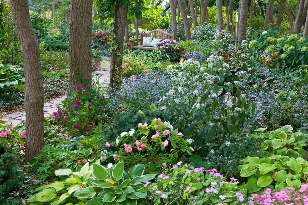 Garden Shade in the Backyard