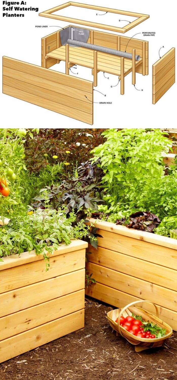 Backyard DIY Self Watering Planters