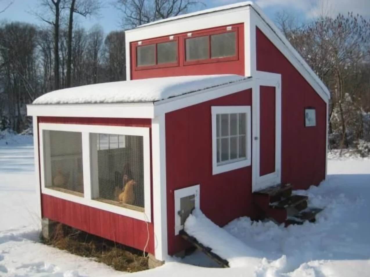 Chicken coop with enough ventilation