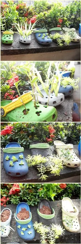 #4. Old and worn-out Crocs repurposed as planters