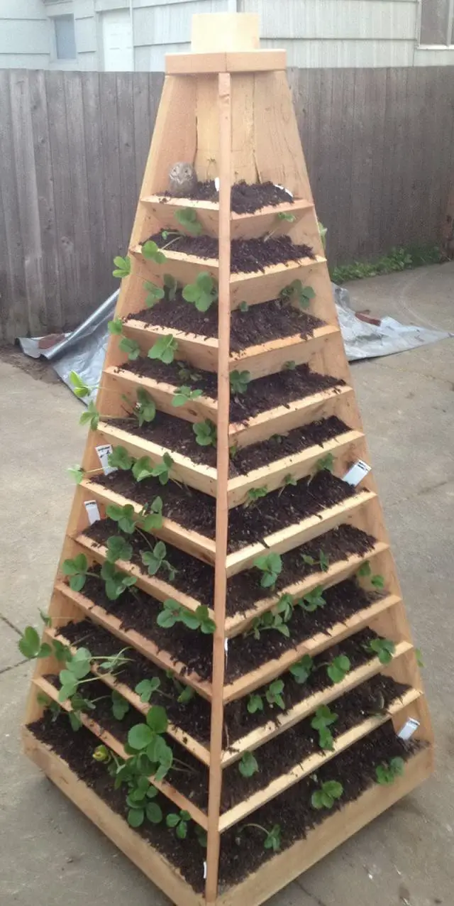 Vertical Pyramid Planter