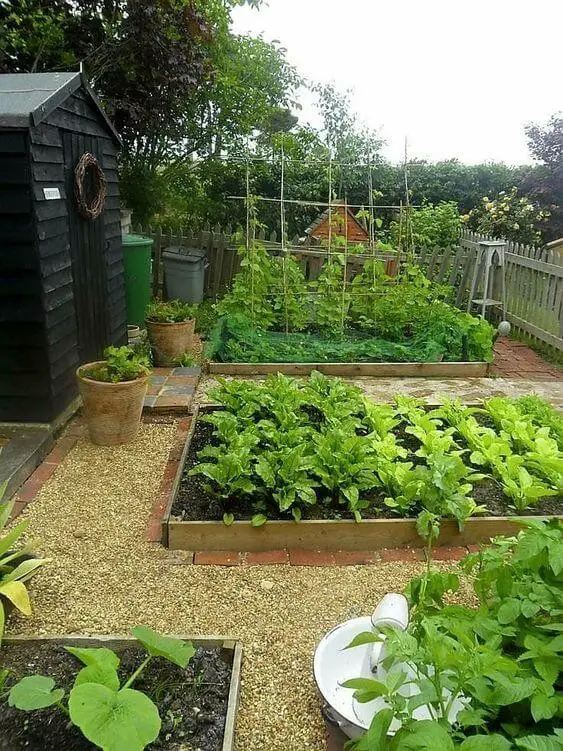 Raised garden beds with pea gravel mulch and edging ideas