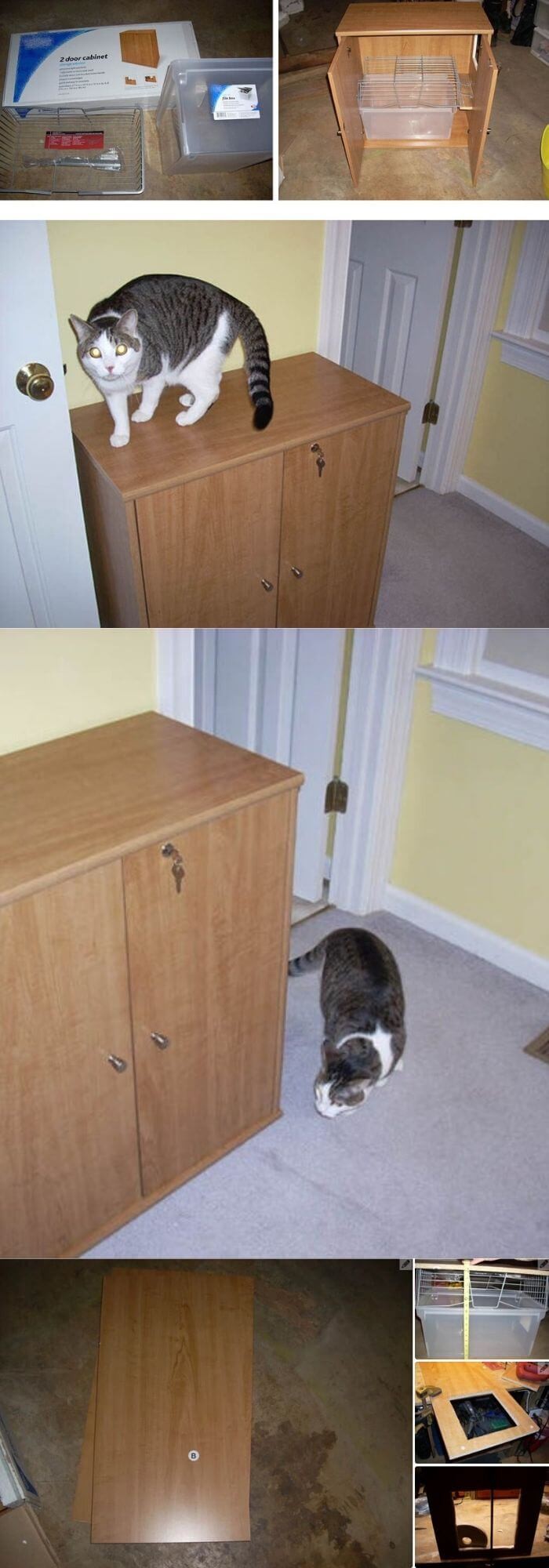 2-door cabinet