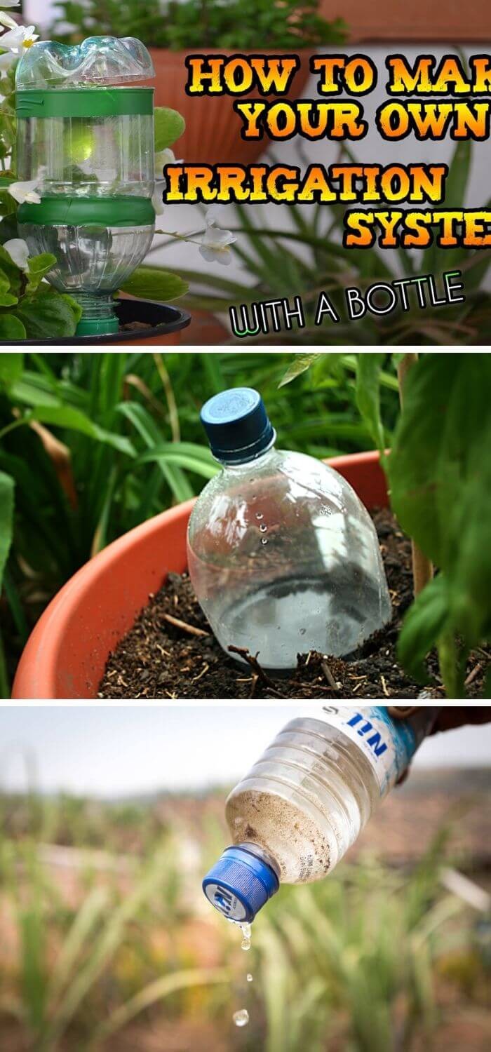 Bottle Drip Irrigation