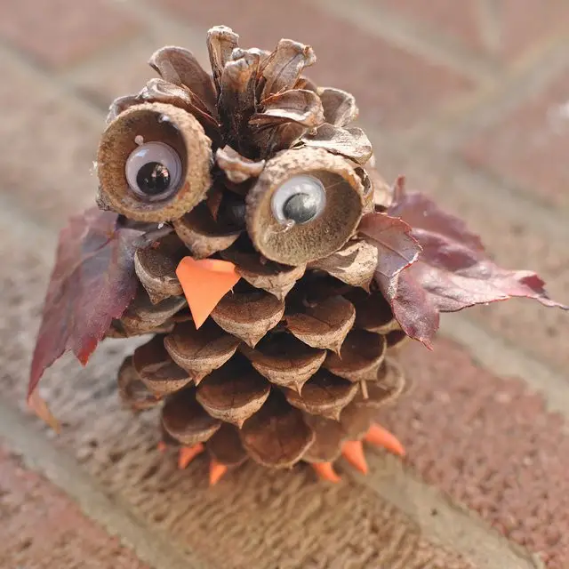 Pine Cone Owl