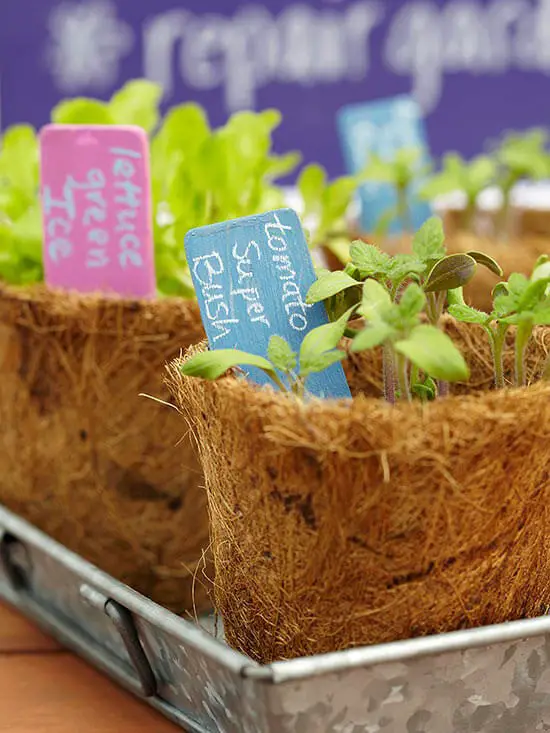 Easy Chalkboard Plant Markers