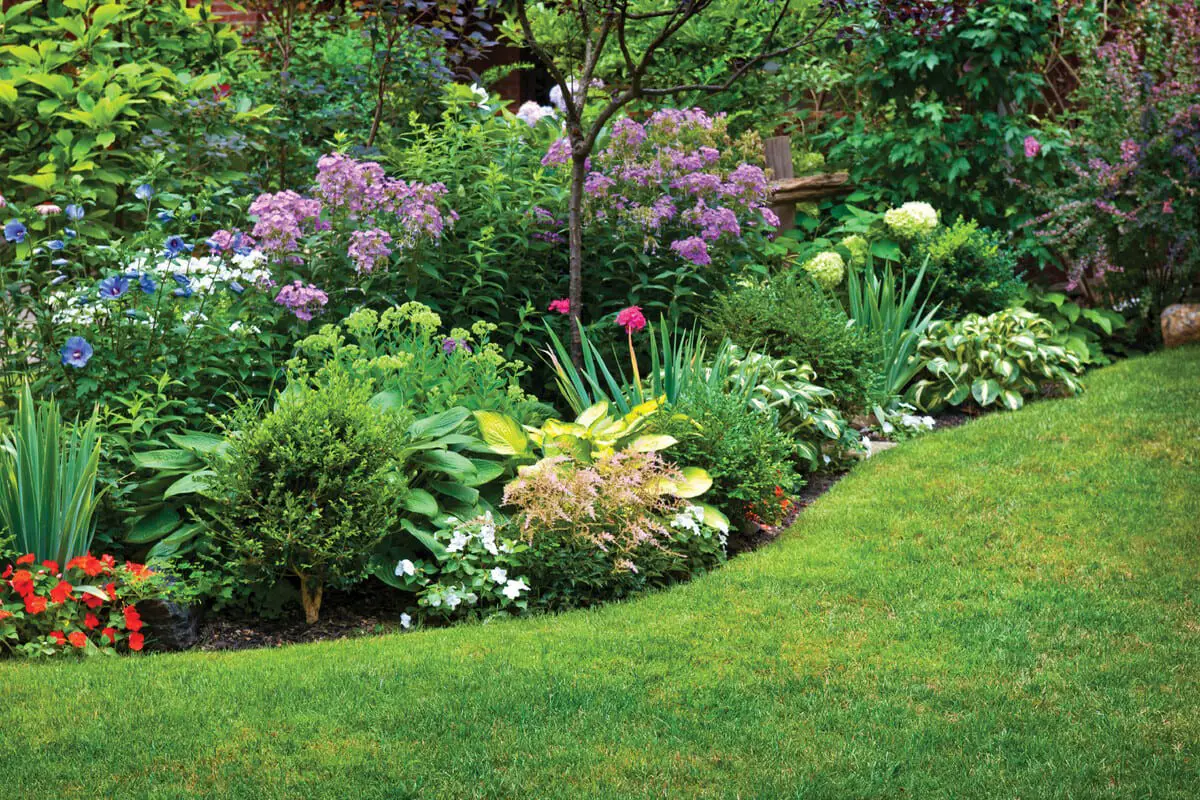 Manicured Lawn and Garden Beds