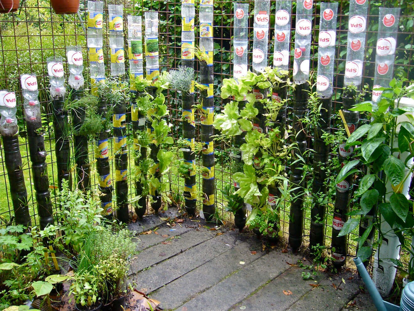 DIY Vertical Plastic Bottle Tower Gardening