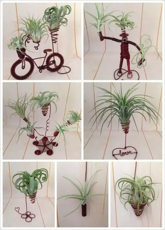 Wire Sculpture Holder