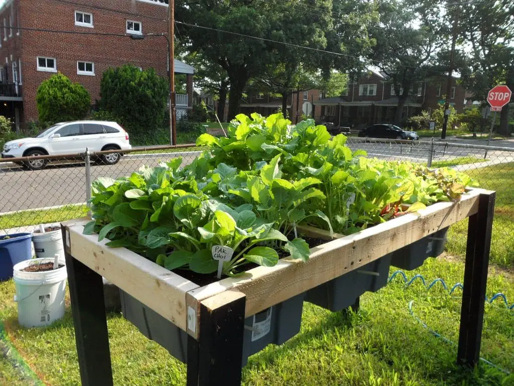 Raised self-watering garden bed