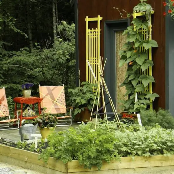 Lettuce in raised beds with hoops