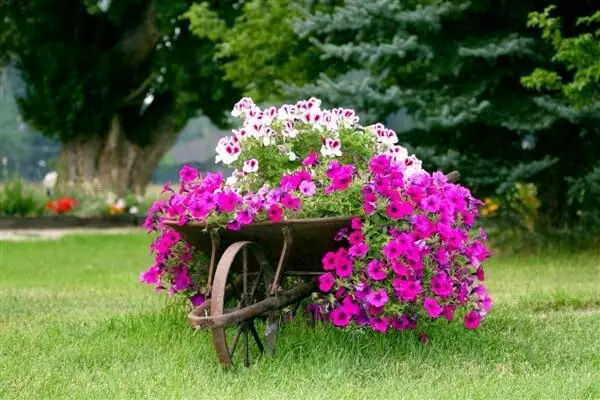 23-30. More wheelbarrow planter ideas