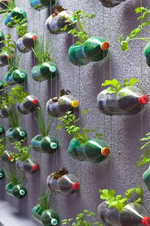 DIY Vertical Gardening