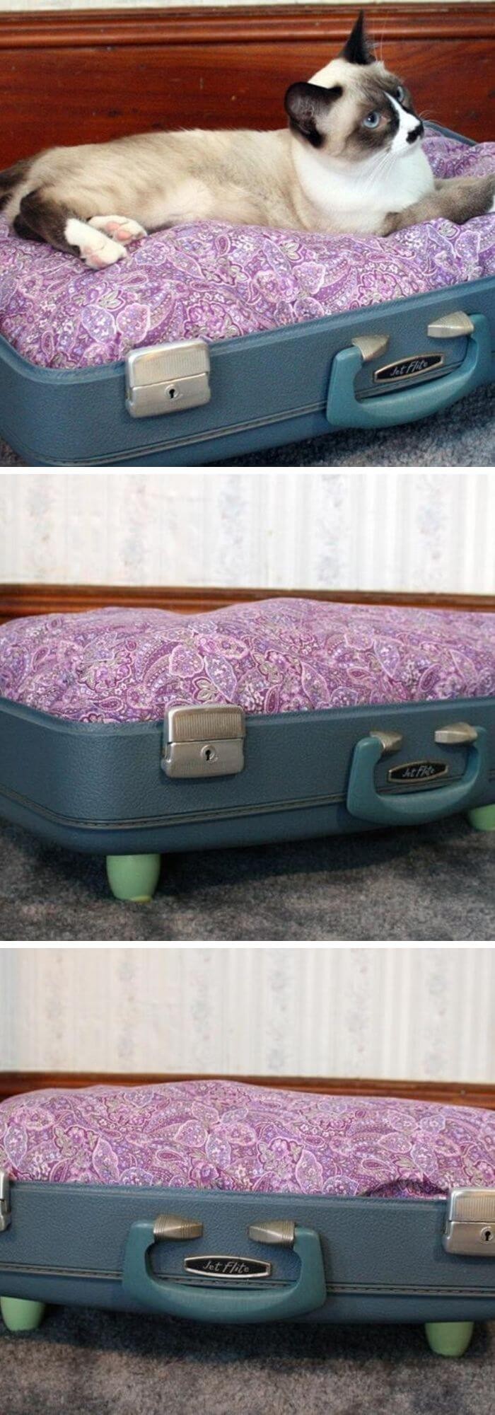 Restyle Your Suitcase Into A Pet Bed