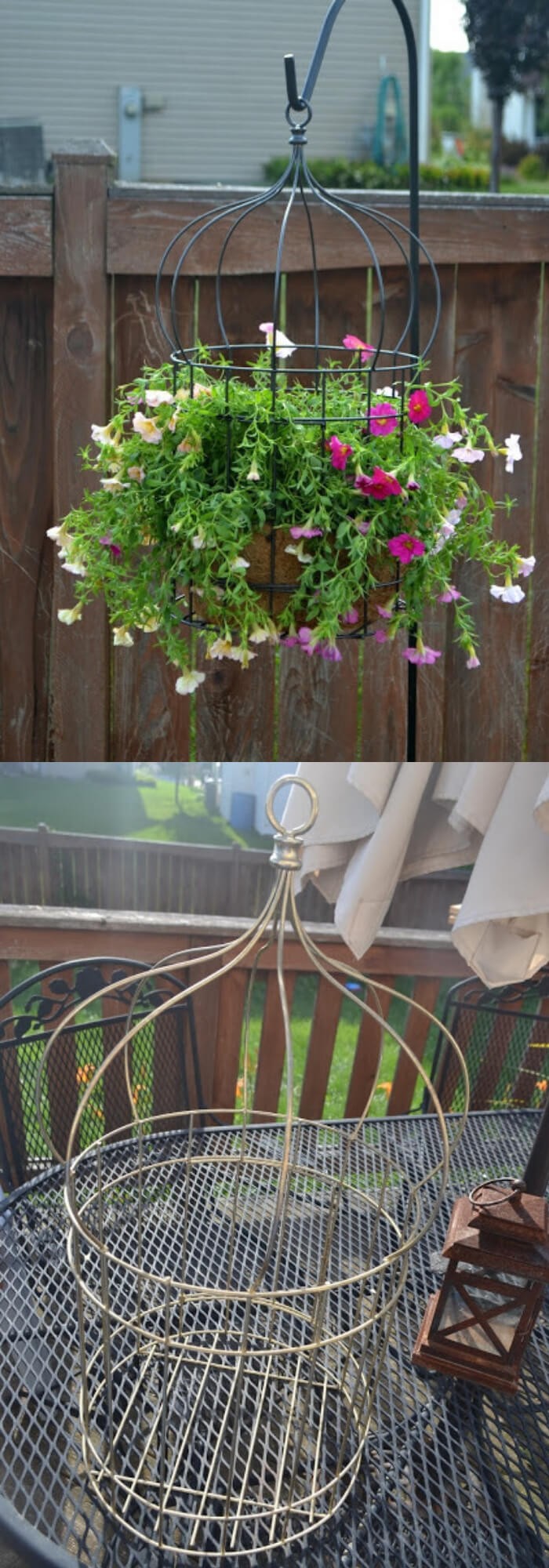 Hanging Bird Cage Planter