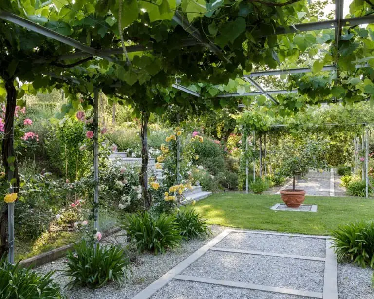 With a pergola, create a perfumed pathway.