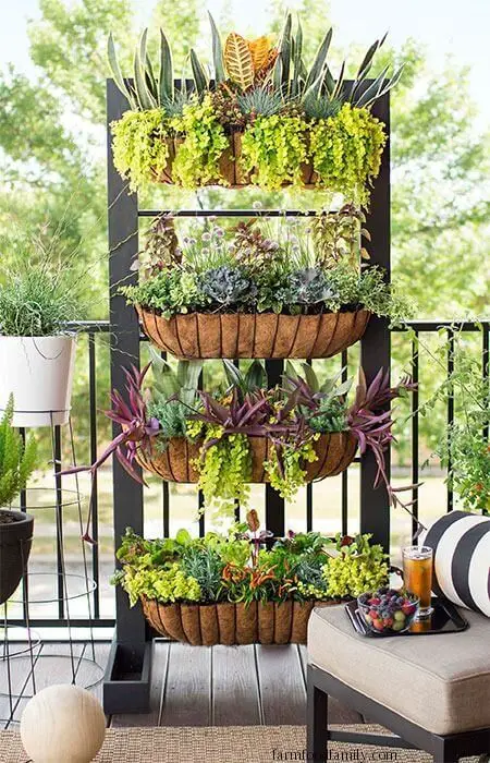 Vertical Garden