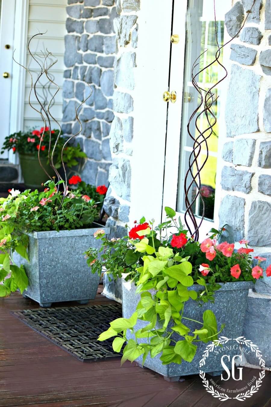 Potted Flowers