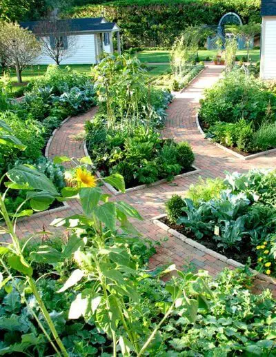 Raised Beds Lift the Garden