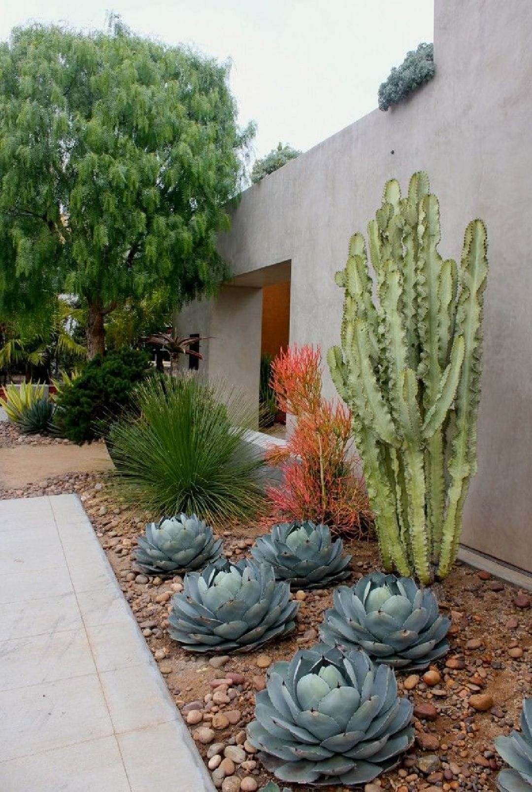 More desert landscaping ideas