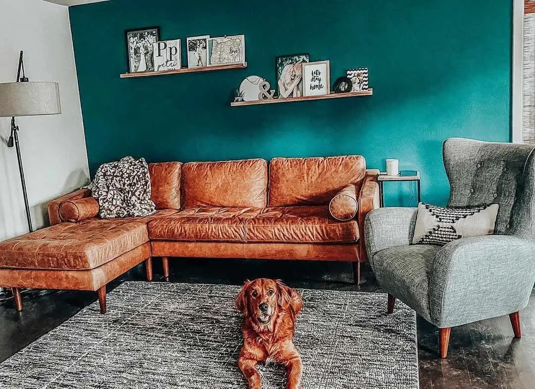 Consider Teal Walls