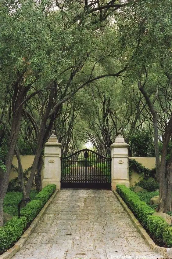 Compact wrought iron driveway gate