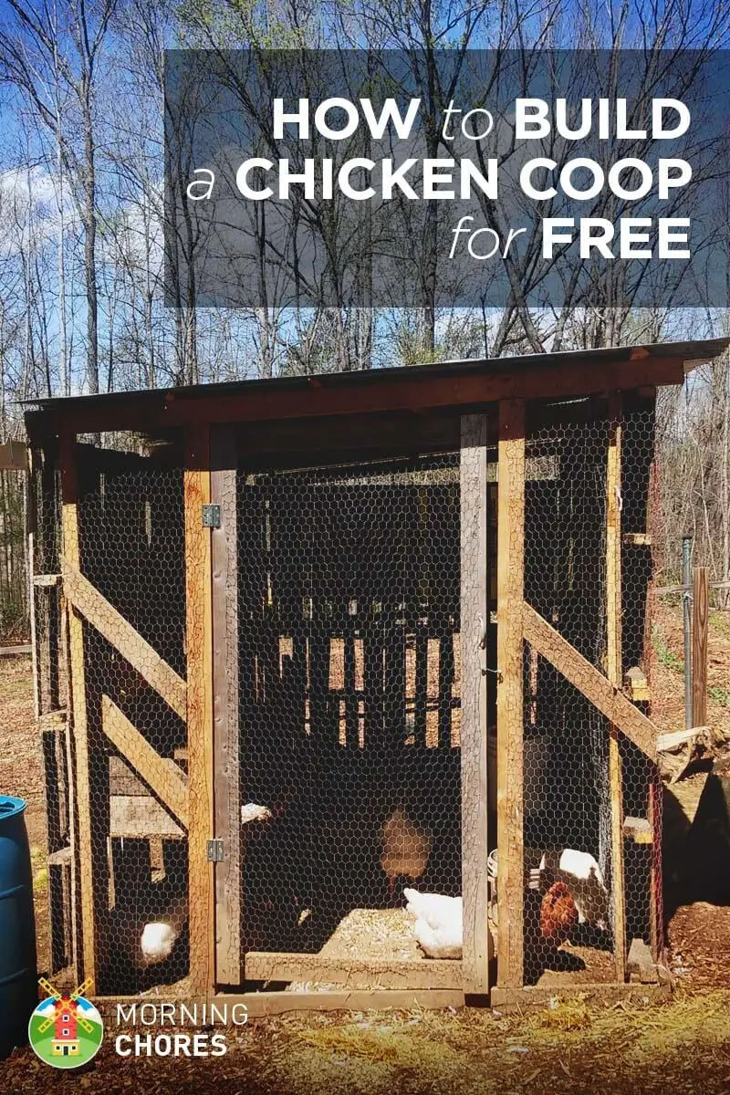 Scrap Lumber Coop Free Plan