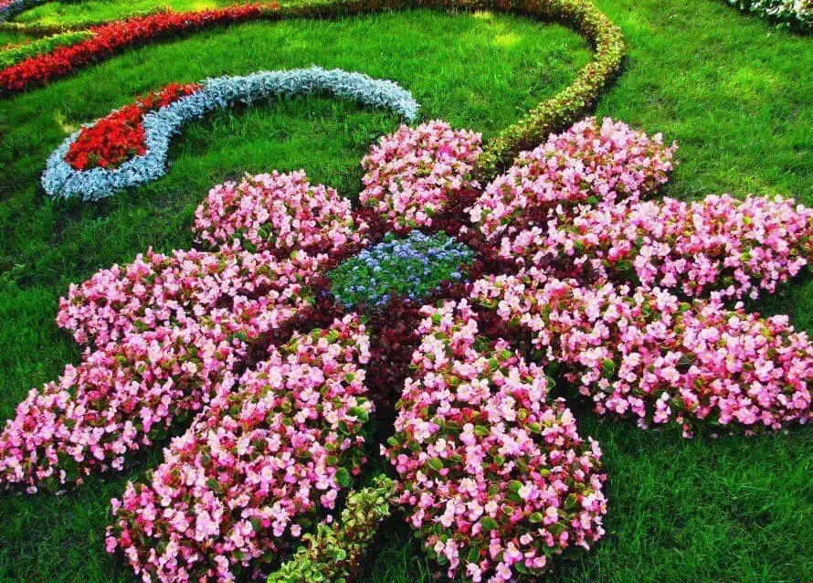 Flower shaped flower bed