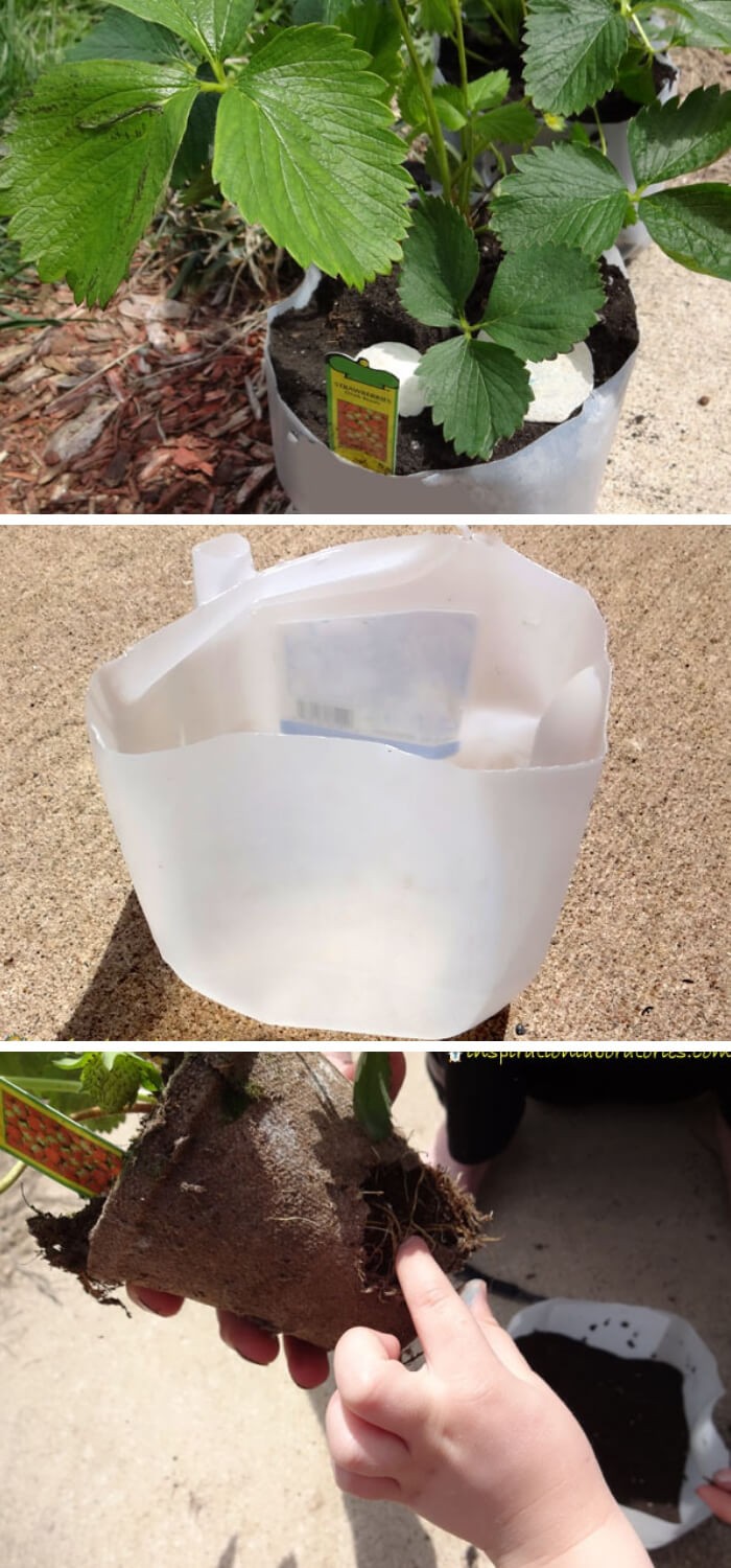 #4. Milk Jug Planter