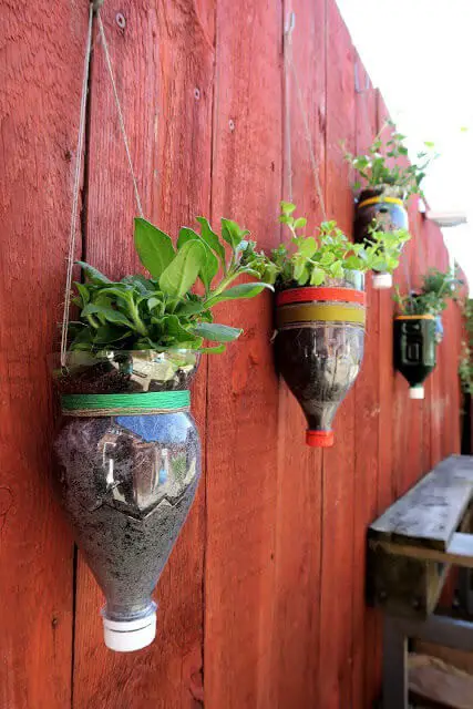 Fence garden