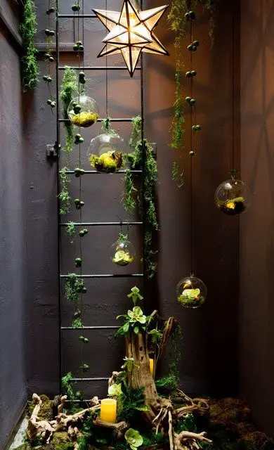 Hang a garden inside