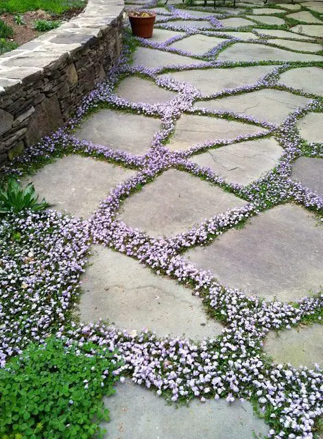 Planted Garden Path