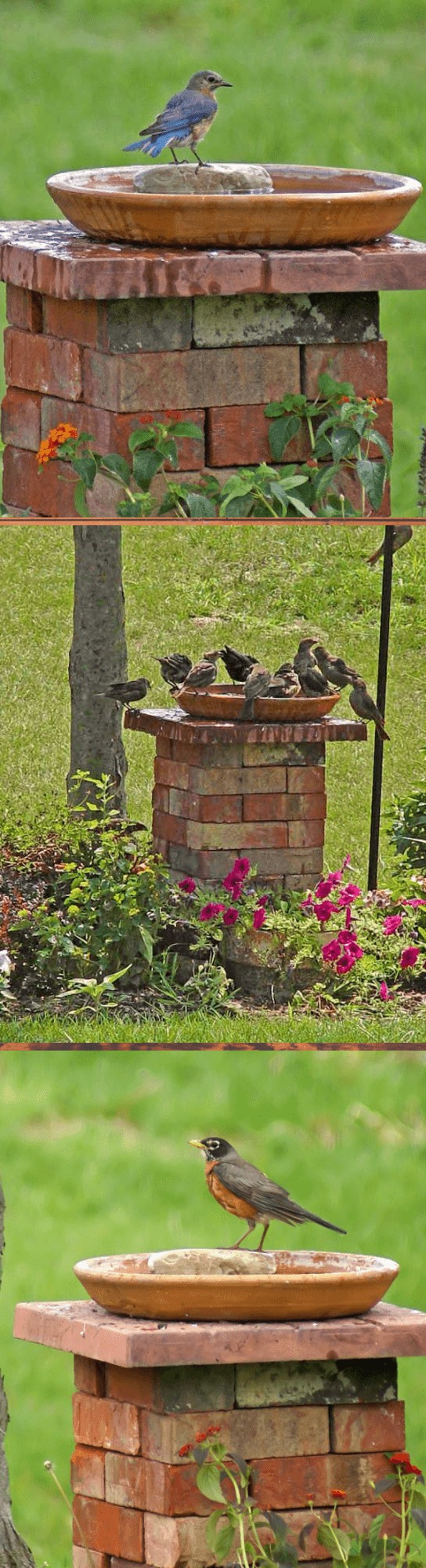 Bird bath stand from bricks